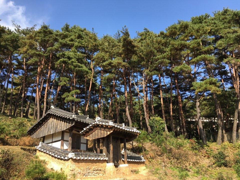 Korean Traditional House - Chungnokdang Hotel Boseong Ngoại thất bức ảnh