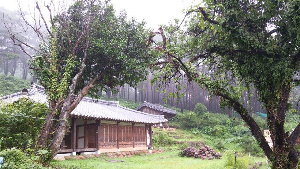 Korean Traditional House - Chungnokdang Hotel Boseong Ngoại thất bức ảnh
